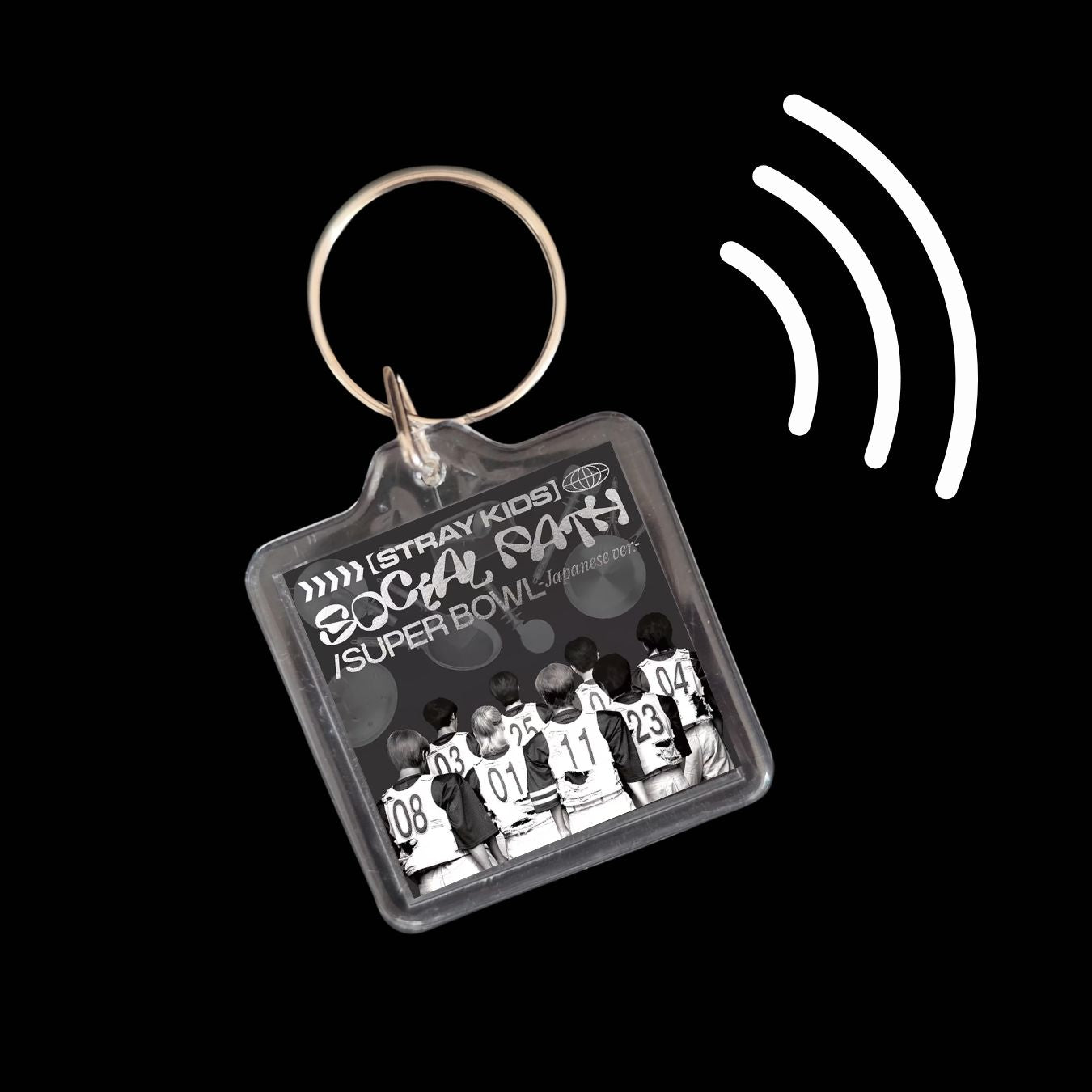 Stray Kids Inspired Smart Keyrings Discography for Stay