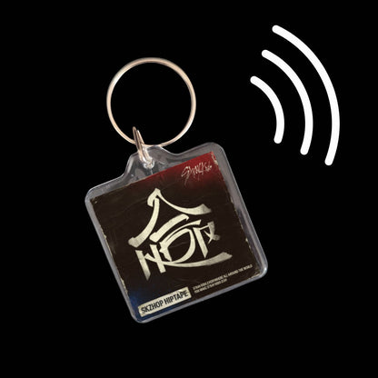 Stray Kids Inspired Smart Keyrings Discography for Stay